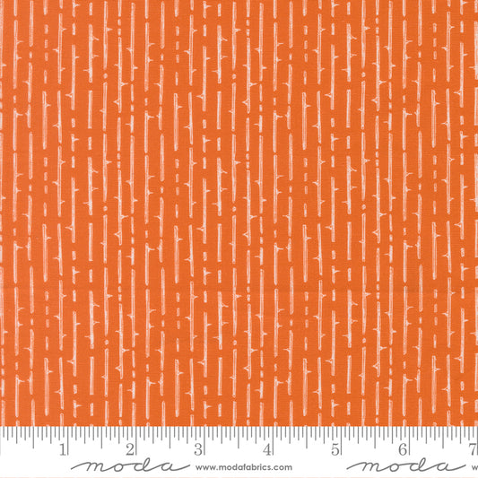 Coven by Robin Pickens : Thorny Stripes Pumpkin Spice 48806 13