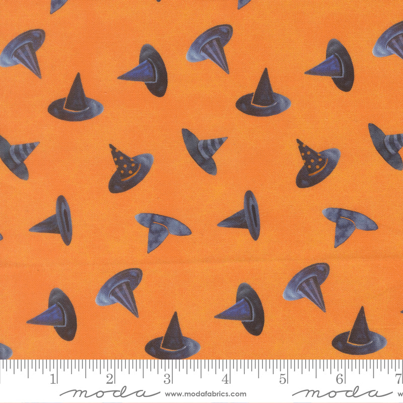 Coven by Robin Pickens : Witch Hats Pumpkin 48805 12