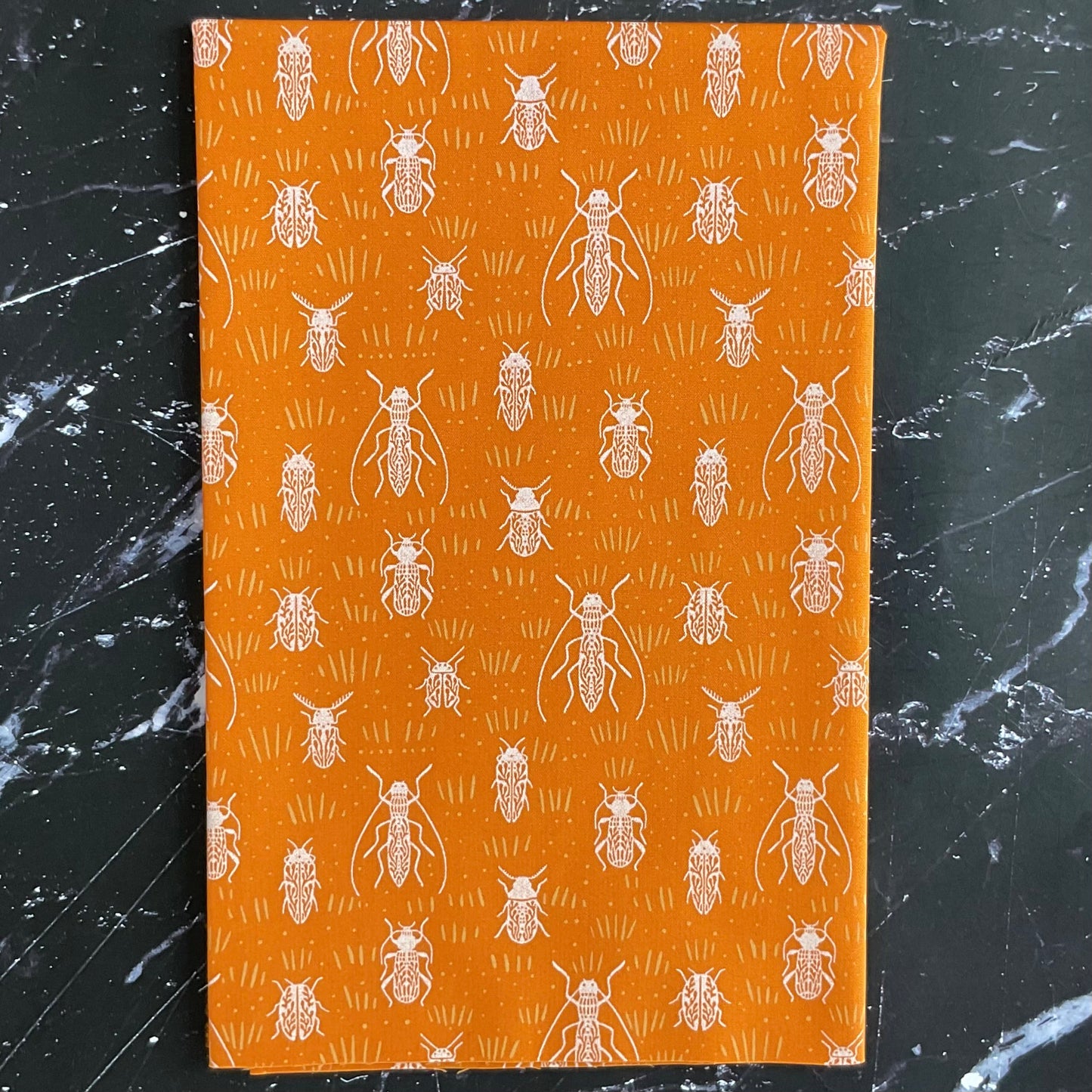 Coyote Hill by Katie O'Shea : Beetle Parade Sun COH18904