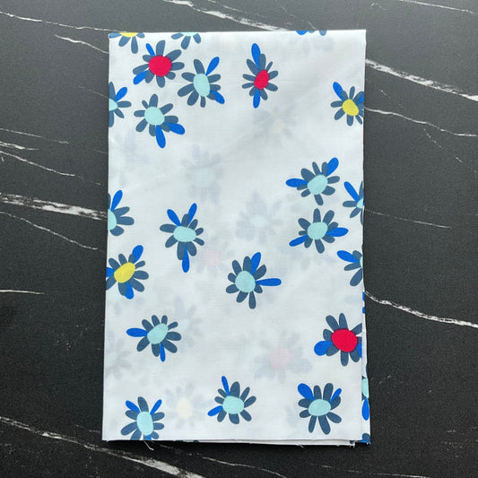 Curiosities by Jenni Baker