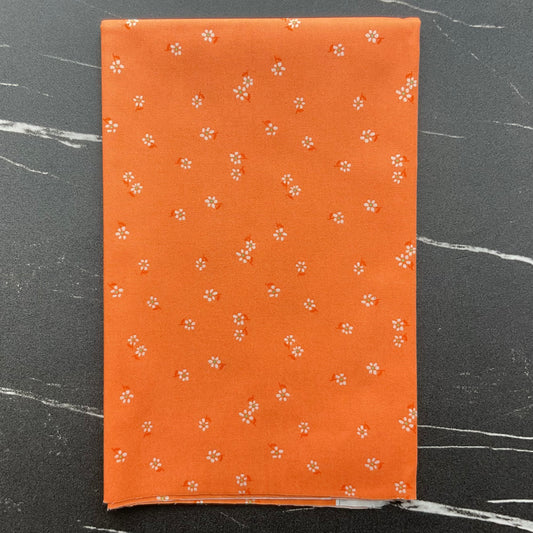 Daisy by Maureen Cracknell Drifting Florets Marmalade DSY24414