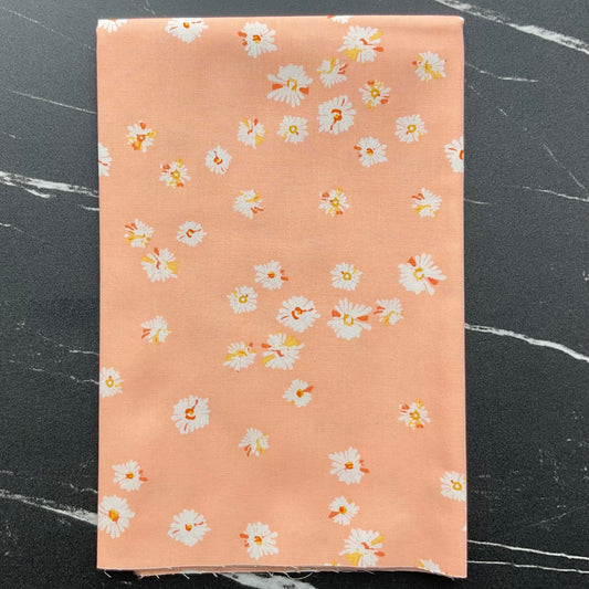 Daisy by Maureen Cracknell Hazy Daisies Glow DSY24411