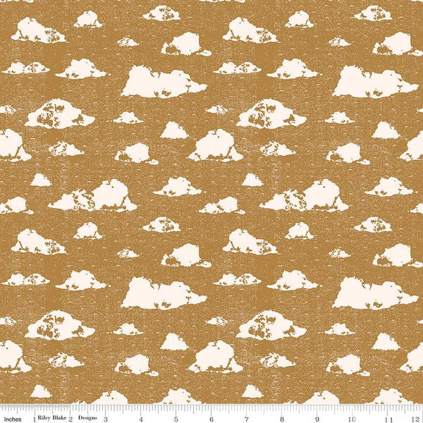 Dancing Daisies by Casey Cometti : Skies Golden