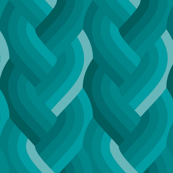 Echo by Emily Van Hoff - Echo Braid Teal 42380 20