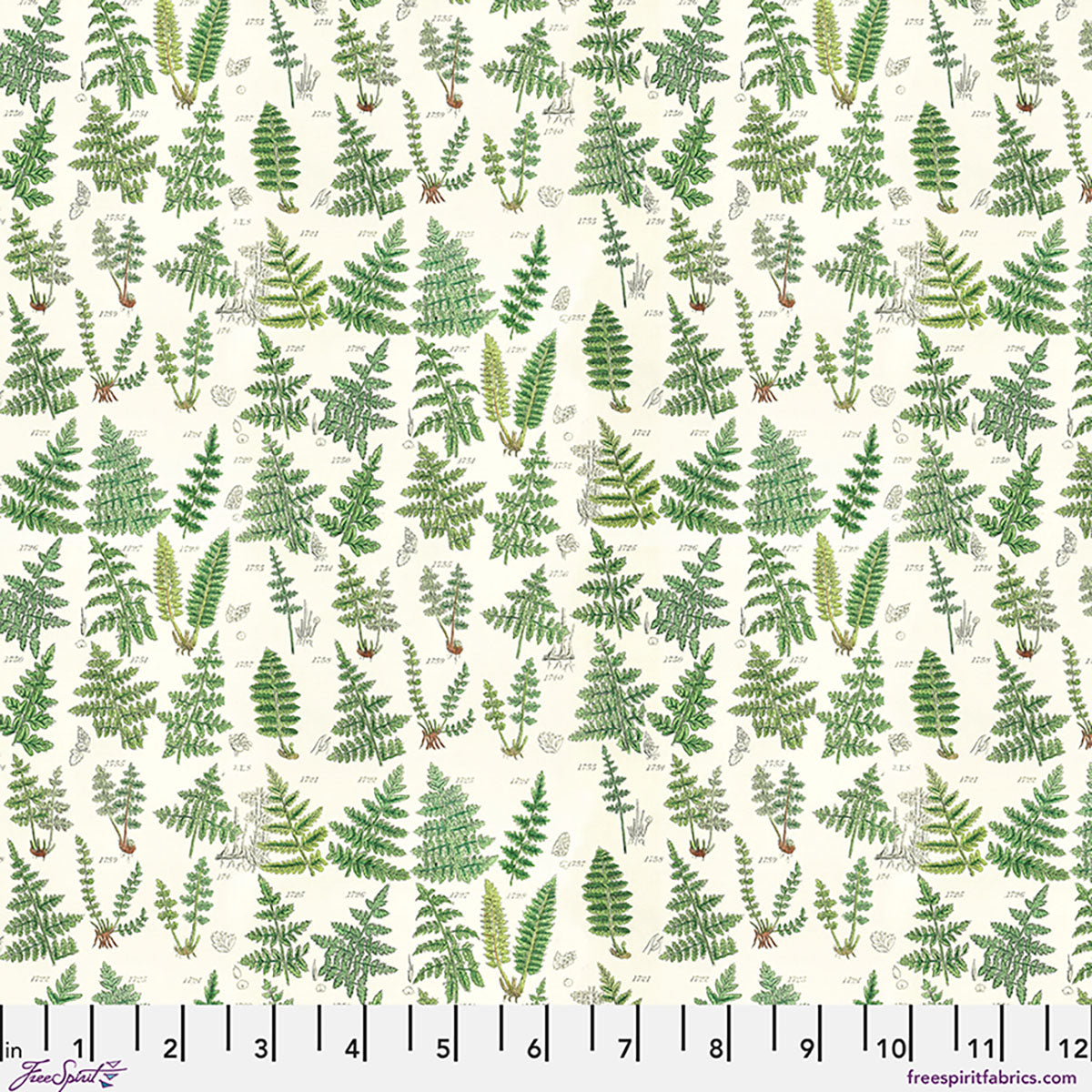 Eclectic Elements Palette Curated by Tim Holtz : Ferns Green PWTH265.CGREEN