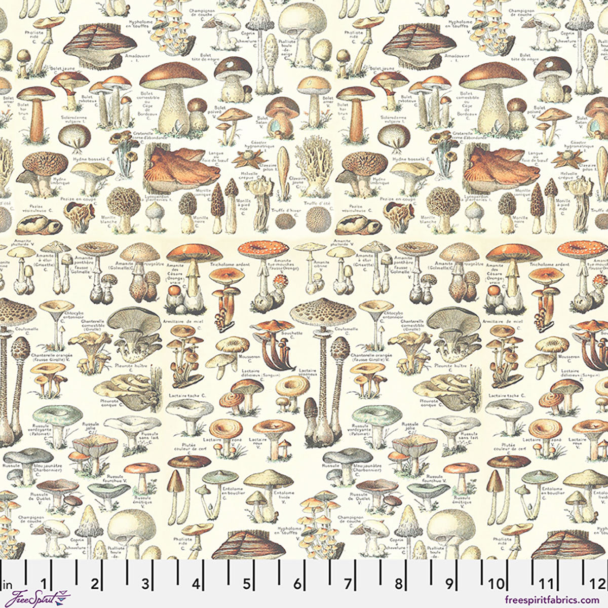 Eclectic Elements Palette Curated by Tim Holtz : Toadstools Orange PWTH236.CORANGE