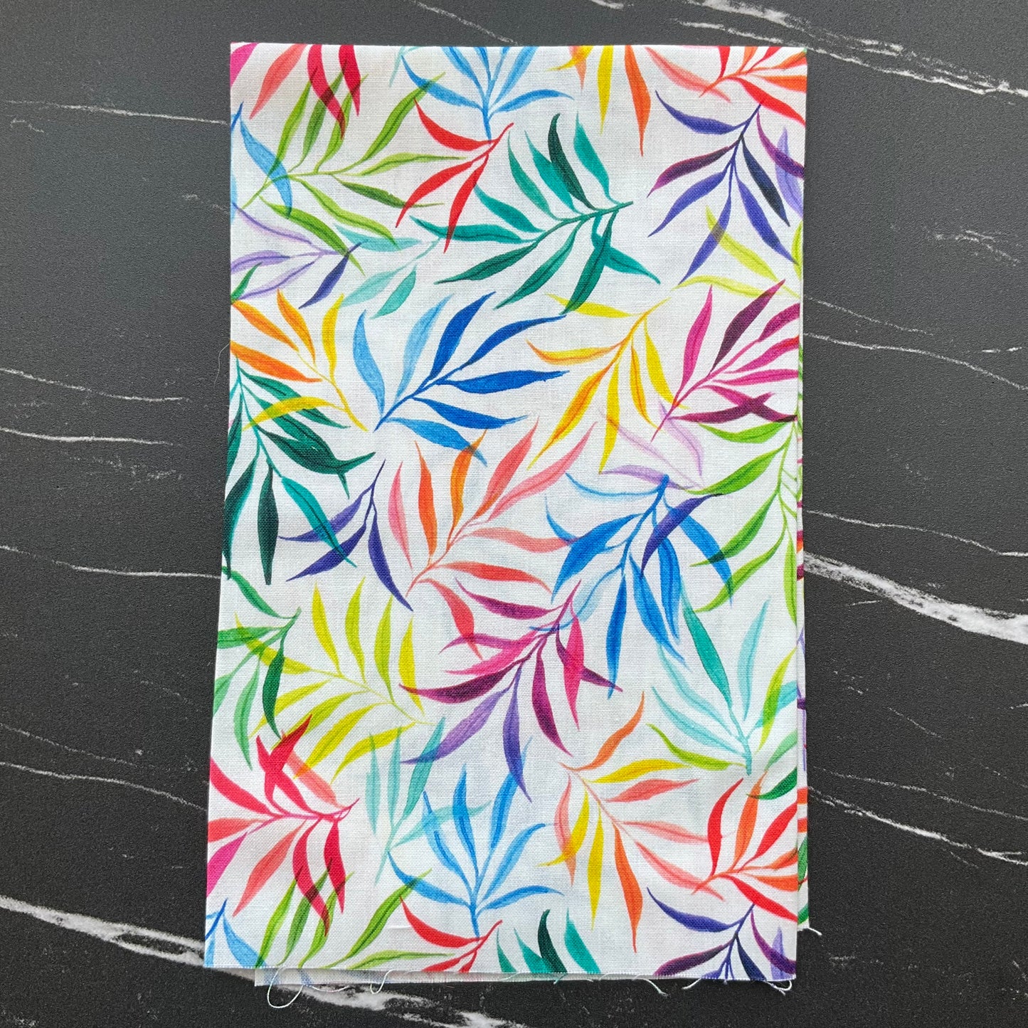 Eufloria by Create Joy Project To And Fro Rainbow 39745 11