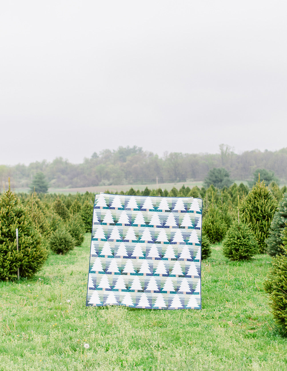 Evergreen Quilt Pattern by Kiley's Quilt Room