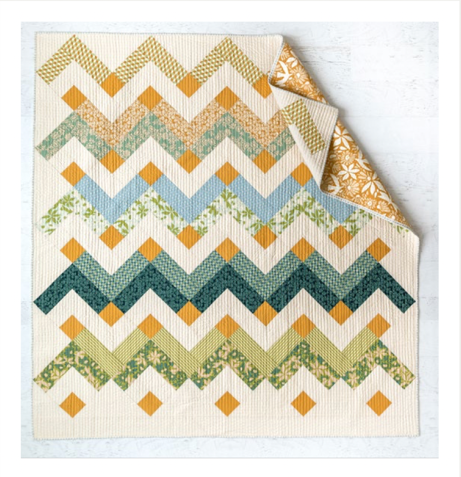 Evolve by Suzy Quilts - Thrive Quilt Kit
