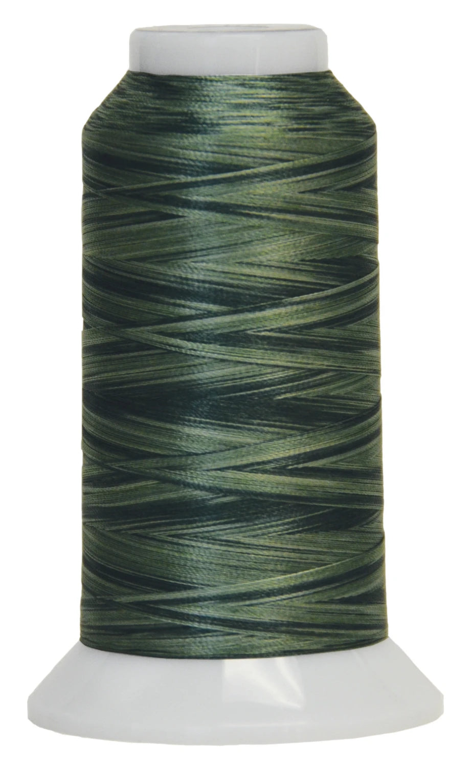 Fantastico Variegated Trilobal Polyester 2000yd Pine Valley # 11702-5014 - Special Order