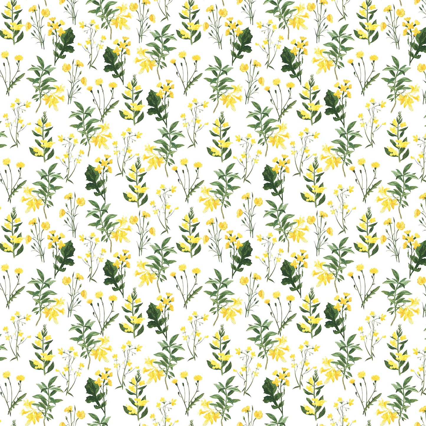 Far and Wide by Isabelle Vandeplassche 90692-10