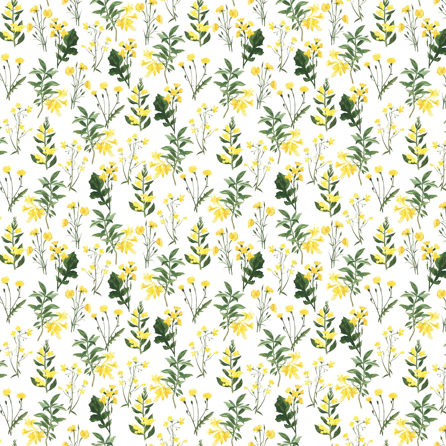 Far and Wide by Isabelle Vandeplassche 90692-10