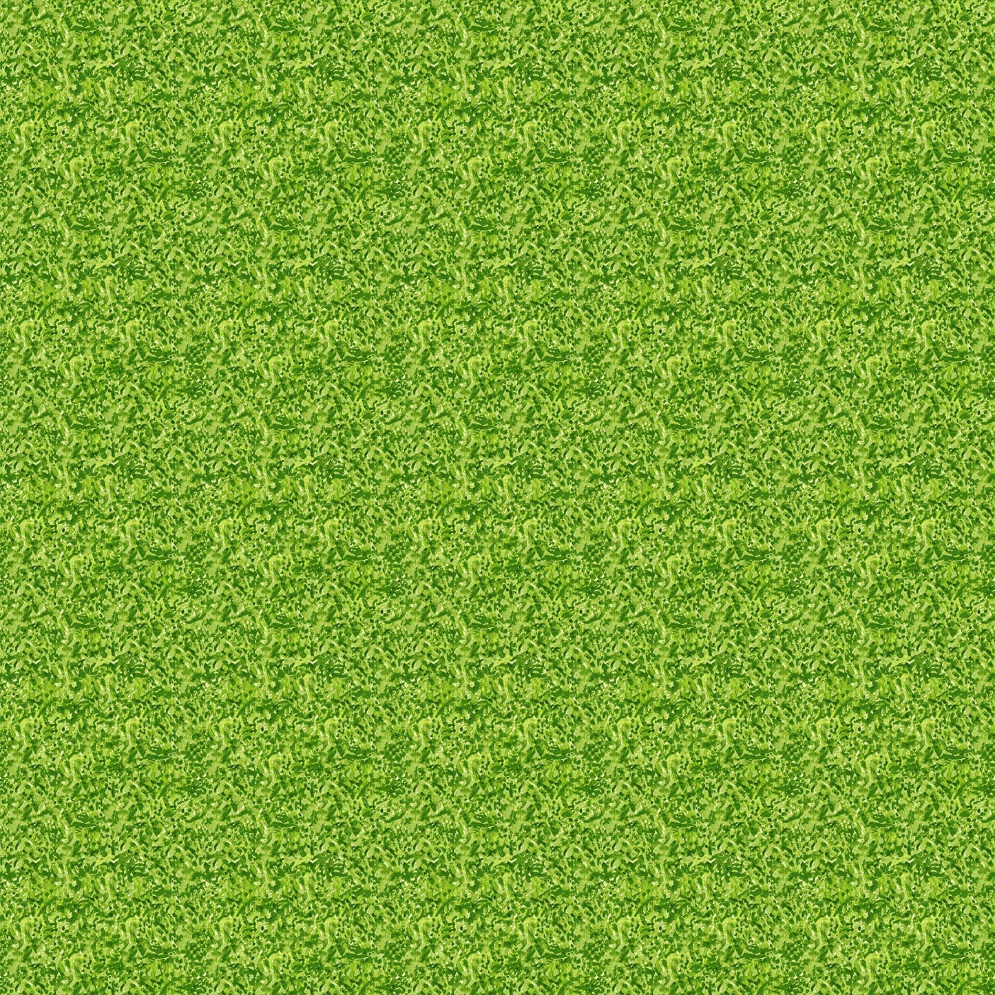 Far and Wide by Isabelle Vandeplassche 90697-72