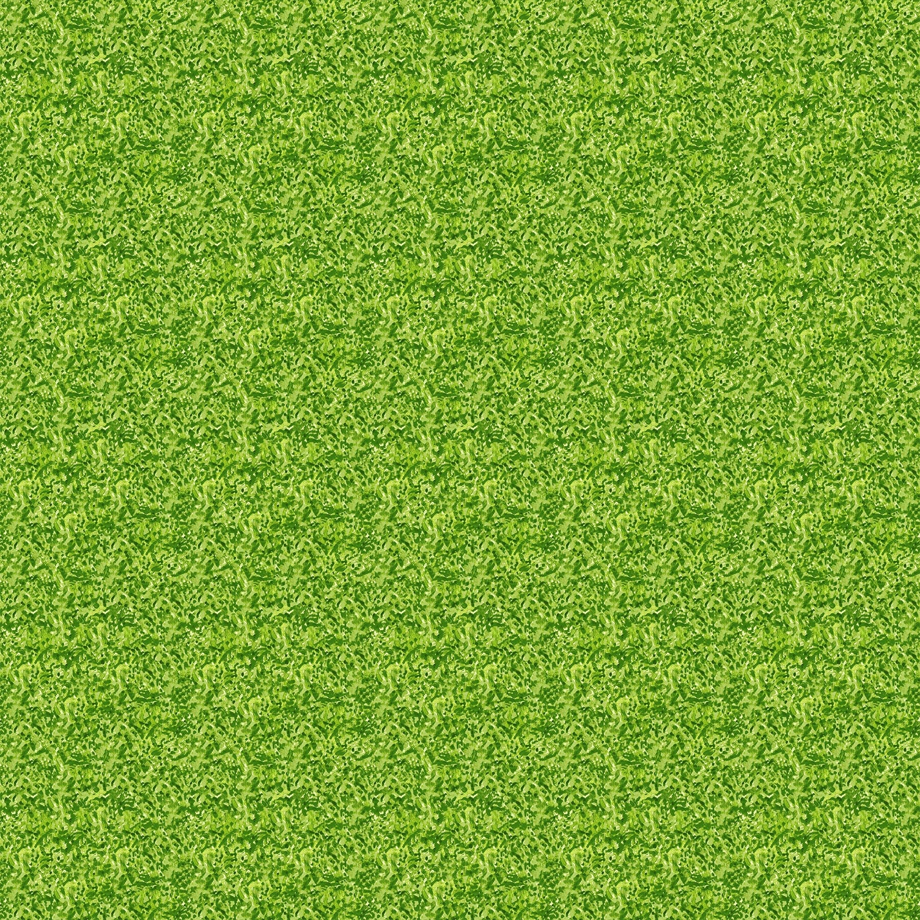 Far and Wide by Isabelle Vandeplassche 90697-72