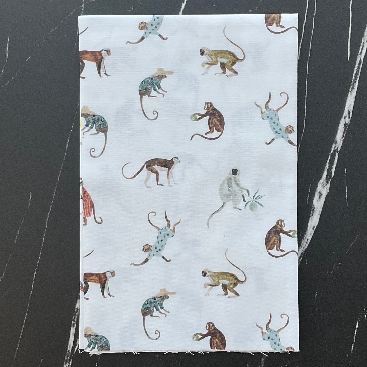 Far and Wide by Isabelle Vandeplassche - Bundles