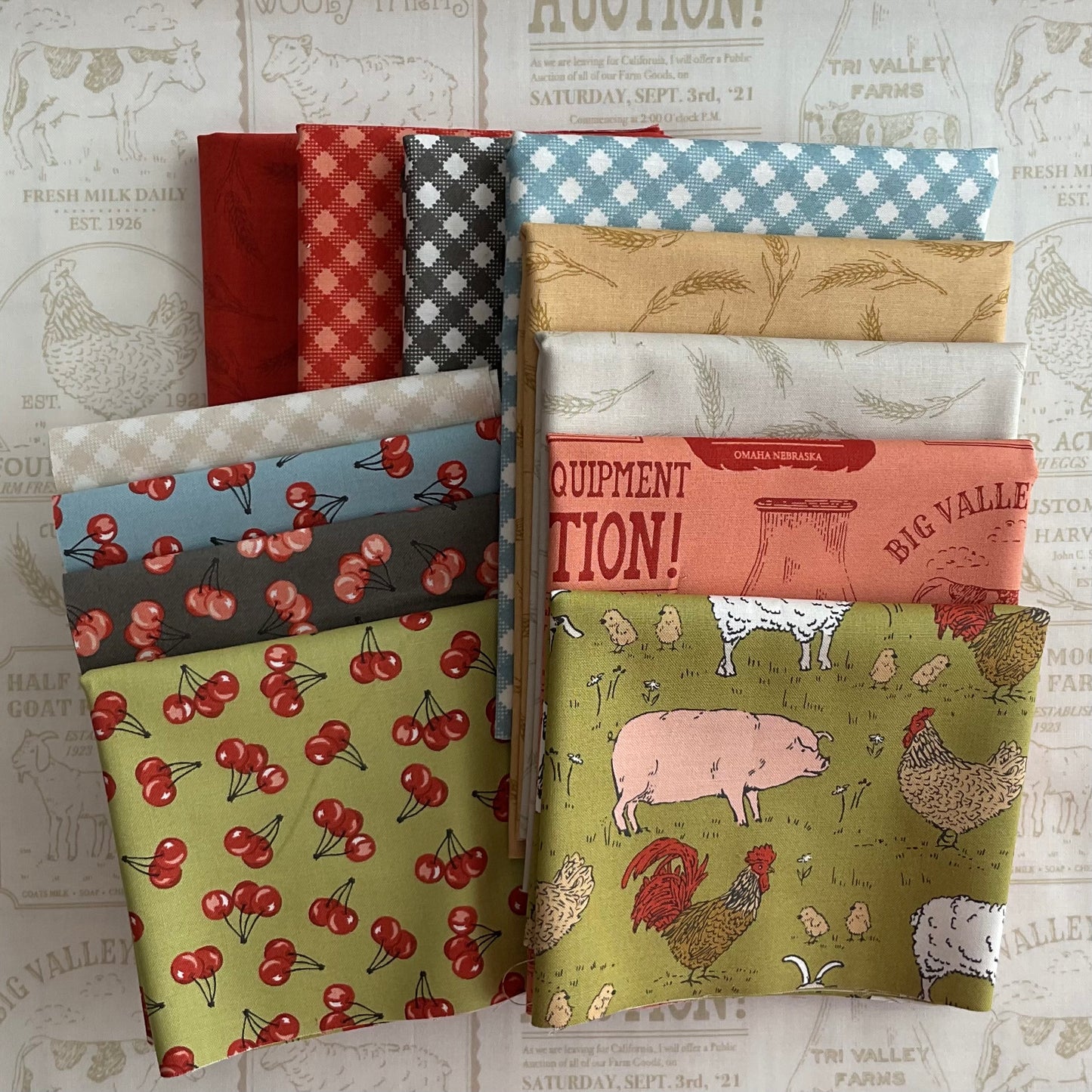 Farmstead by Stacy Iest Hsu - My Little Farm Quilt Kit