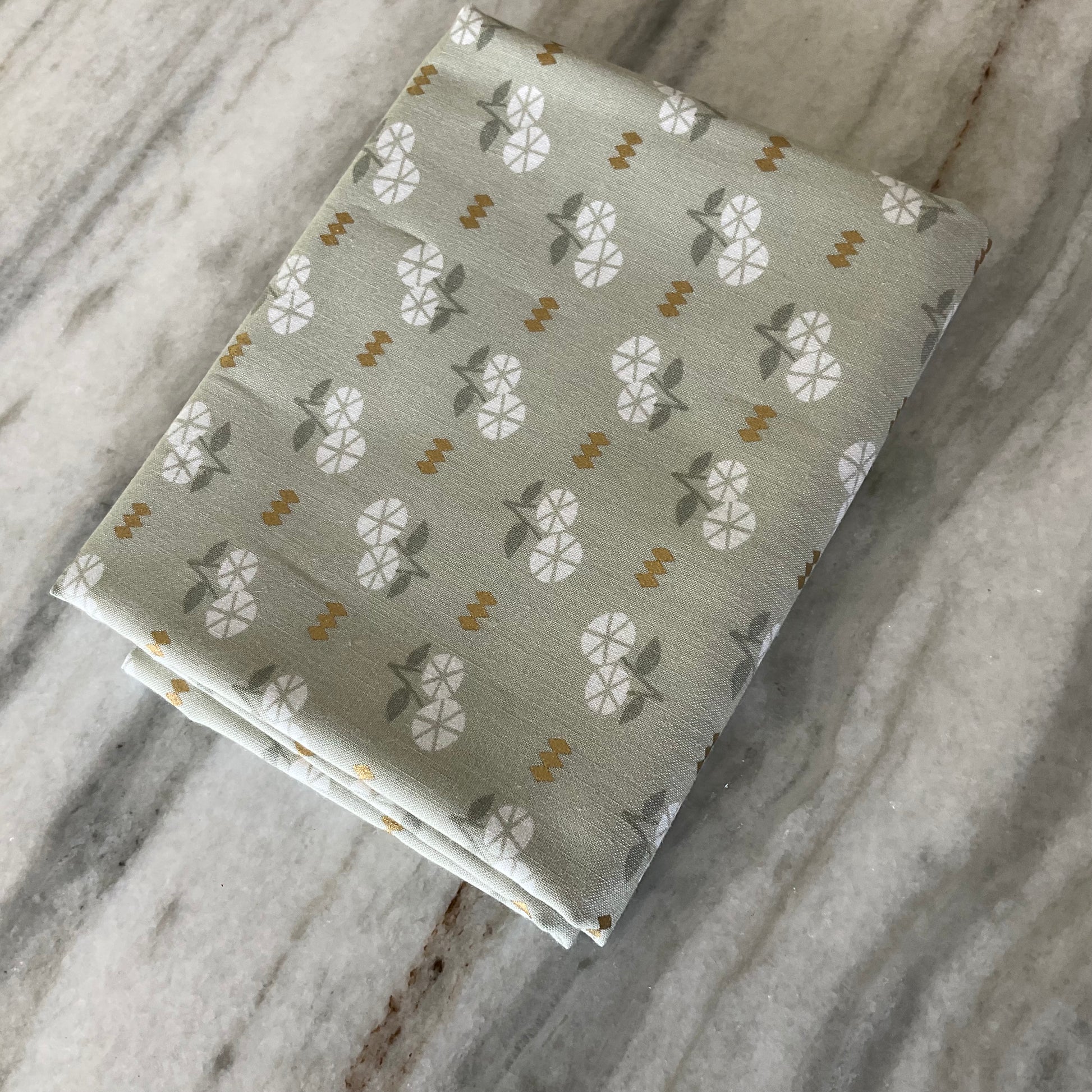 First Light by Ruby Star Society Ash RS5046 11M