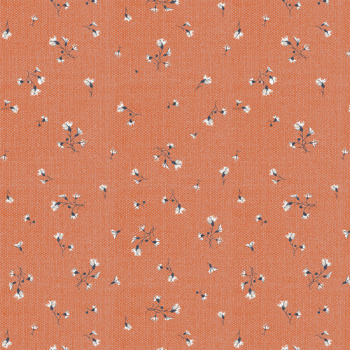 Florence by Katarina Roccella : Fiordalisi dell’Ora FLR33504