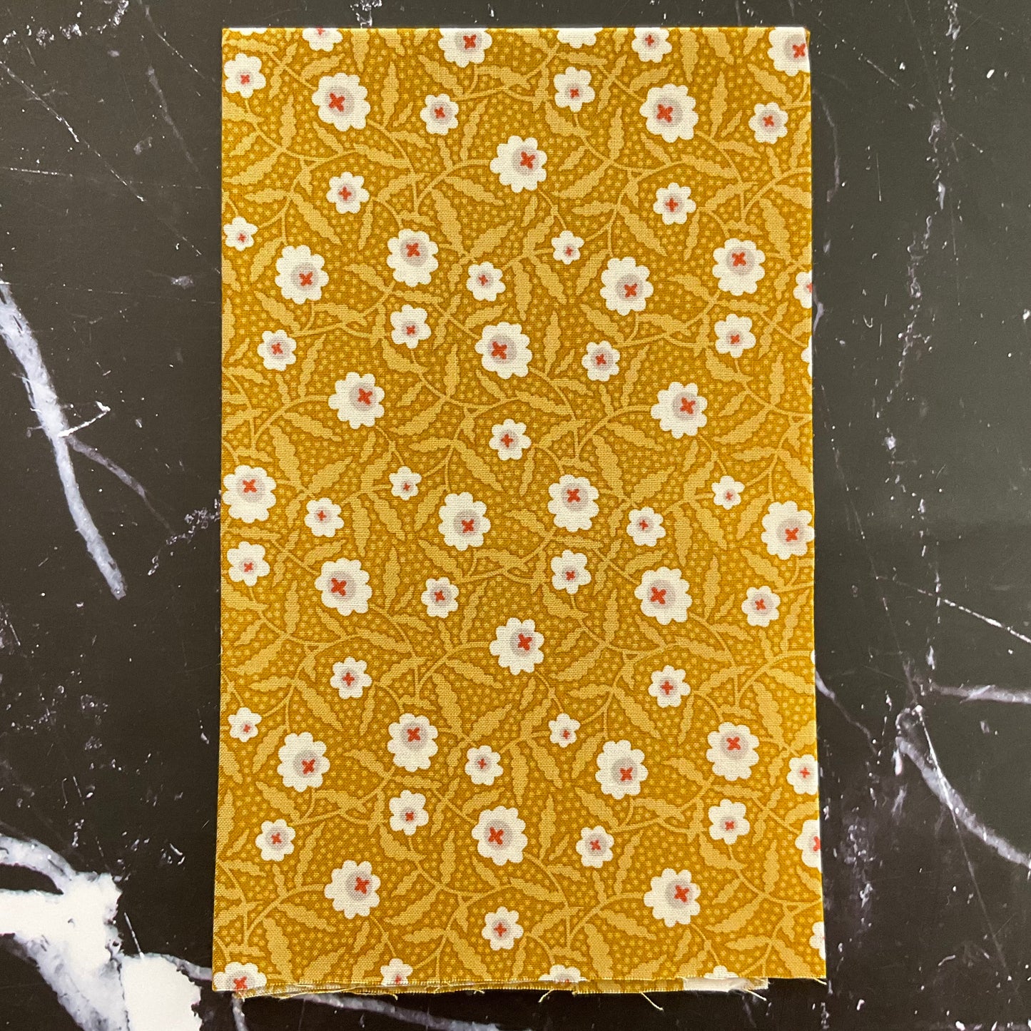 Flower Box by Renee Nanneman : Bachelor Button Chartreuse A-1016-Y