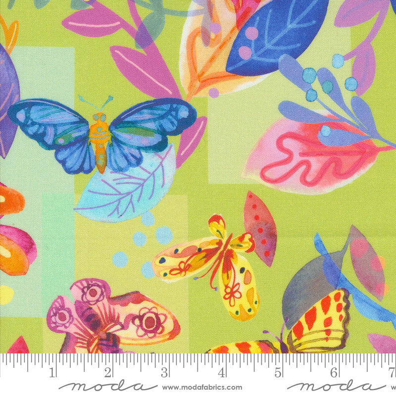 Flower Patches by Amarylis Henderson : Butterfly Meander Limeade 21820 15