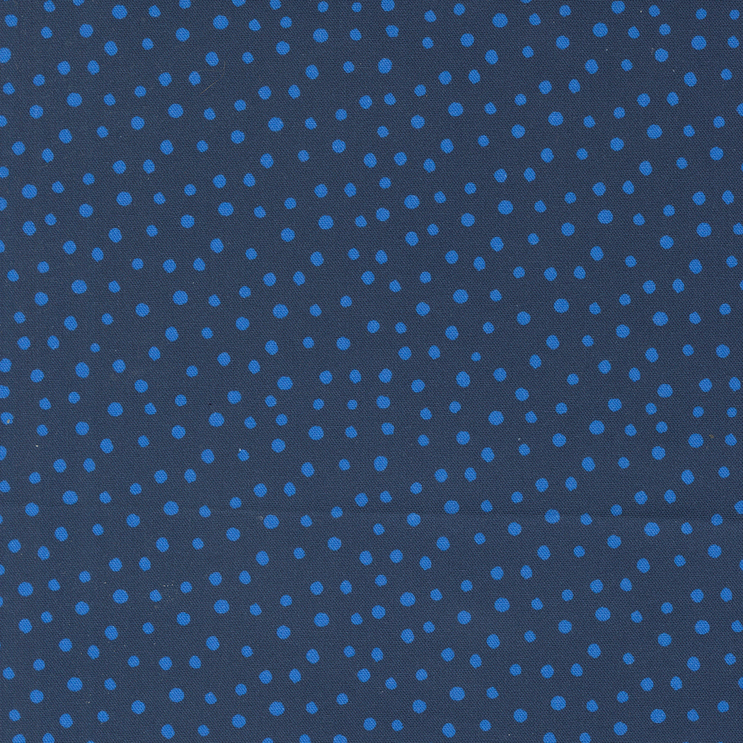 Flower Patches by Amarylis Henderson : Dotty Midnight 21829 23