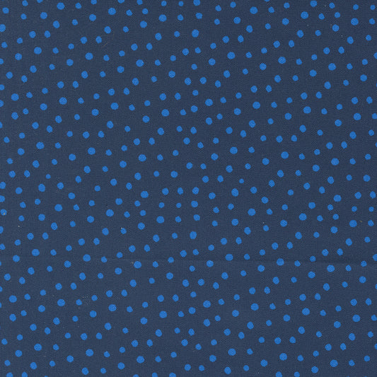 Flower Patches by Amarylis Henderson : Dotty Midnight 21829 23