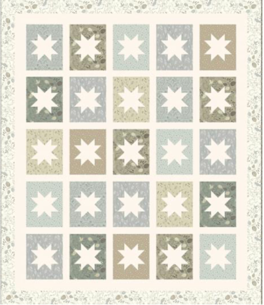 Forest Tales by Whistler Studios: Woodland Whimsy Quilt Kit ~ SKU 54441-2