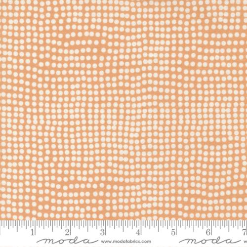 Frisky by Zen Chic : Frisky Dots Peachy 1774 20