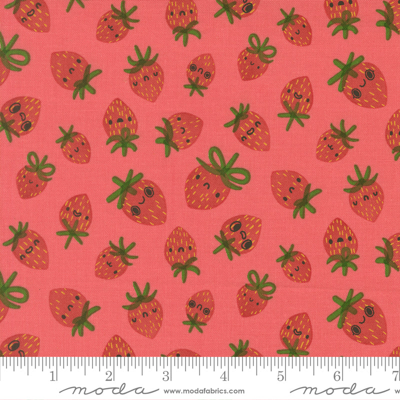 Funny Valentine by Lizzy House : Strawberries Coral 37142 14