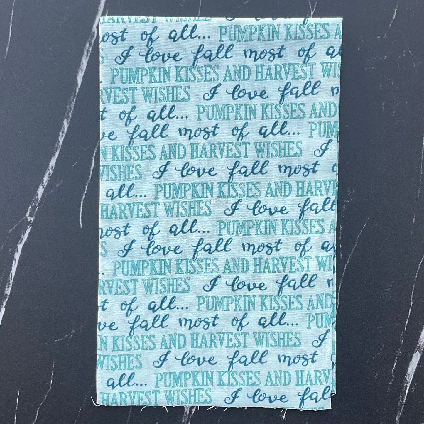 Harvest Wishes by Deb Strain - Fall Words - Aqua 56062 13