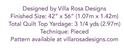 Haunted by Brenda Walton - Cat City Quilt Kit - 1 Left!