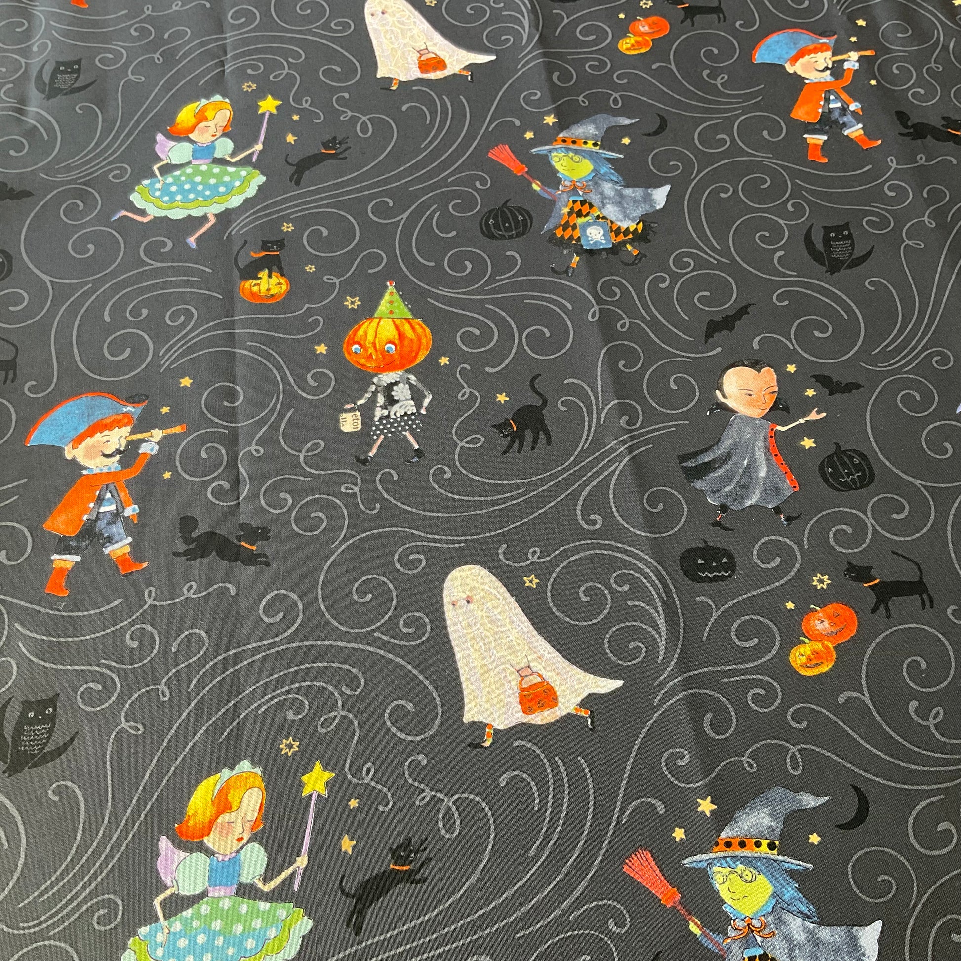 Haunted by Brenda Walton - Cat City Quilt Kit - 1 Left!