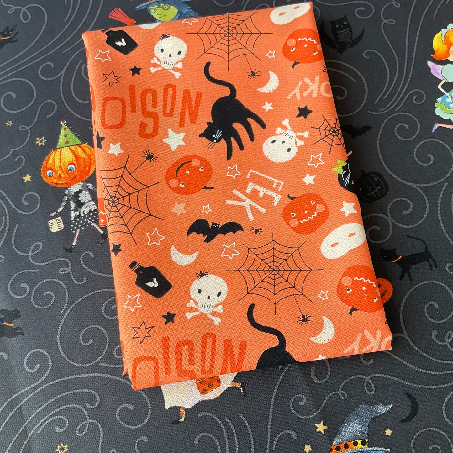 Haunted by Brenda Walton - Cat City Quilt Kit - 1 Left!