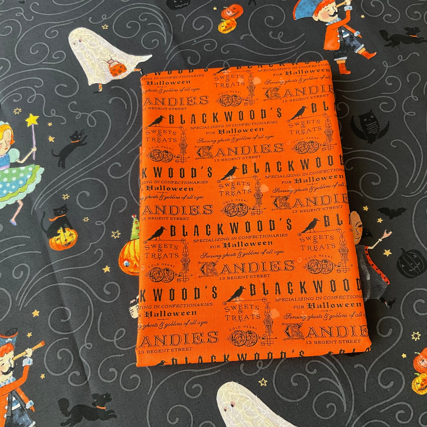 Haunted by Brenda Walton - Cat City Quilt Kit - 1 Left!