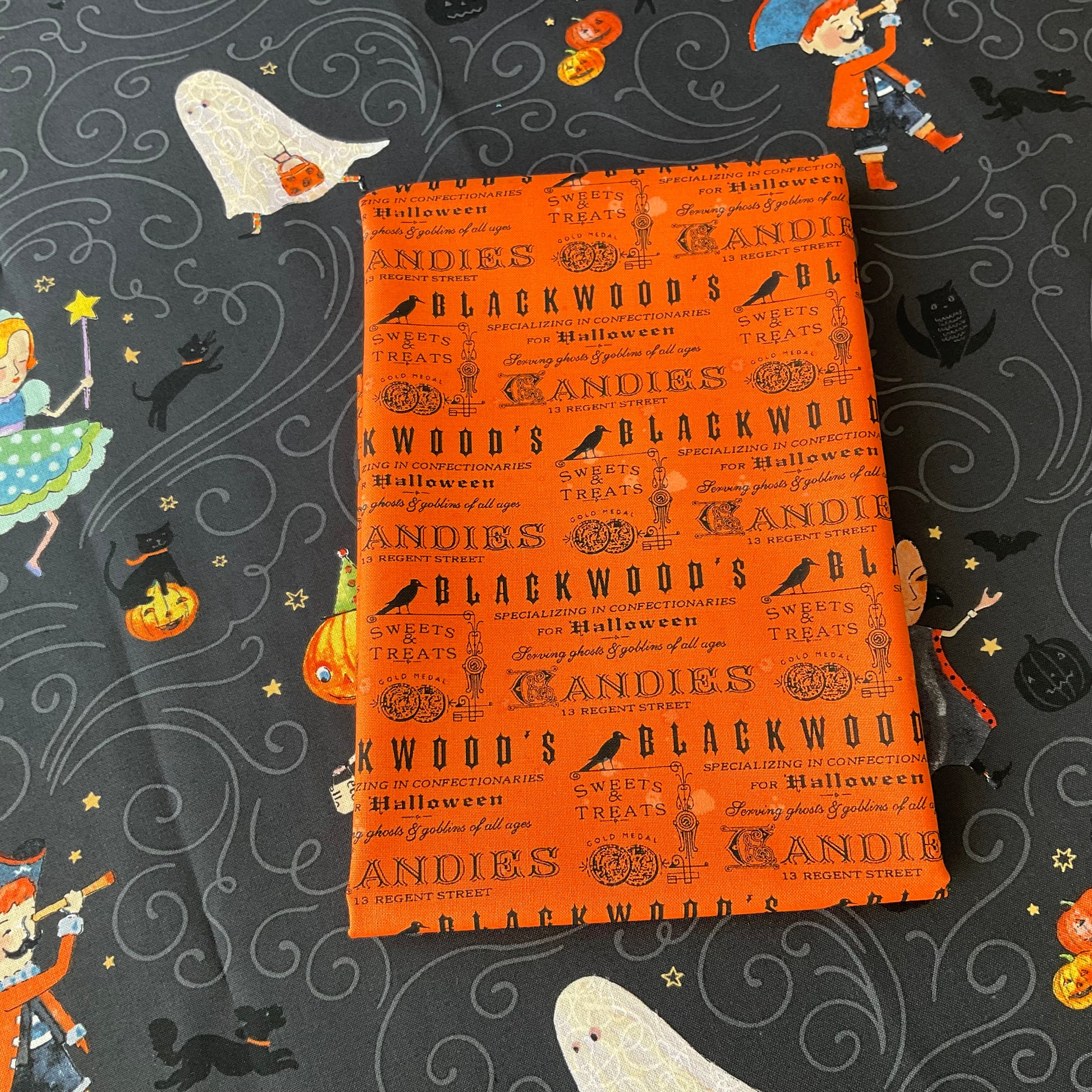 Haunted by Brenda Walton - Cat City Quilt Kit - 1 Left!