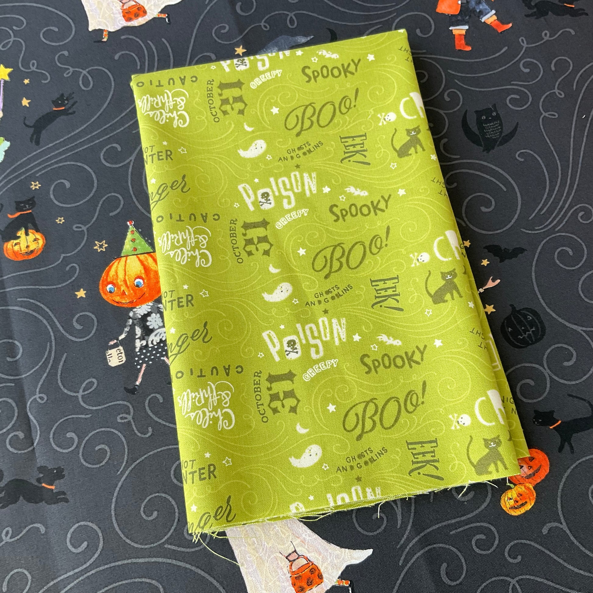 Haunted by Brenda Walton - Cat City Quilt Kit - 1 Left!