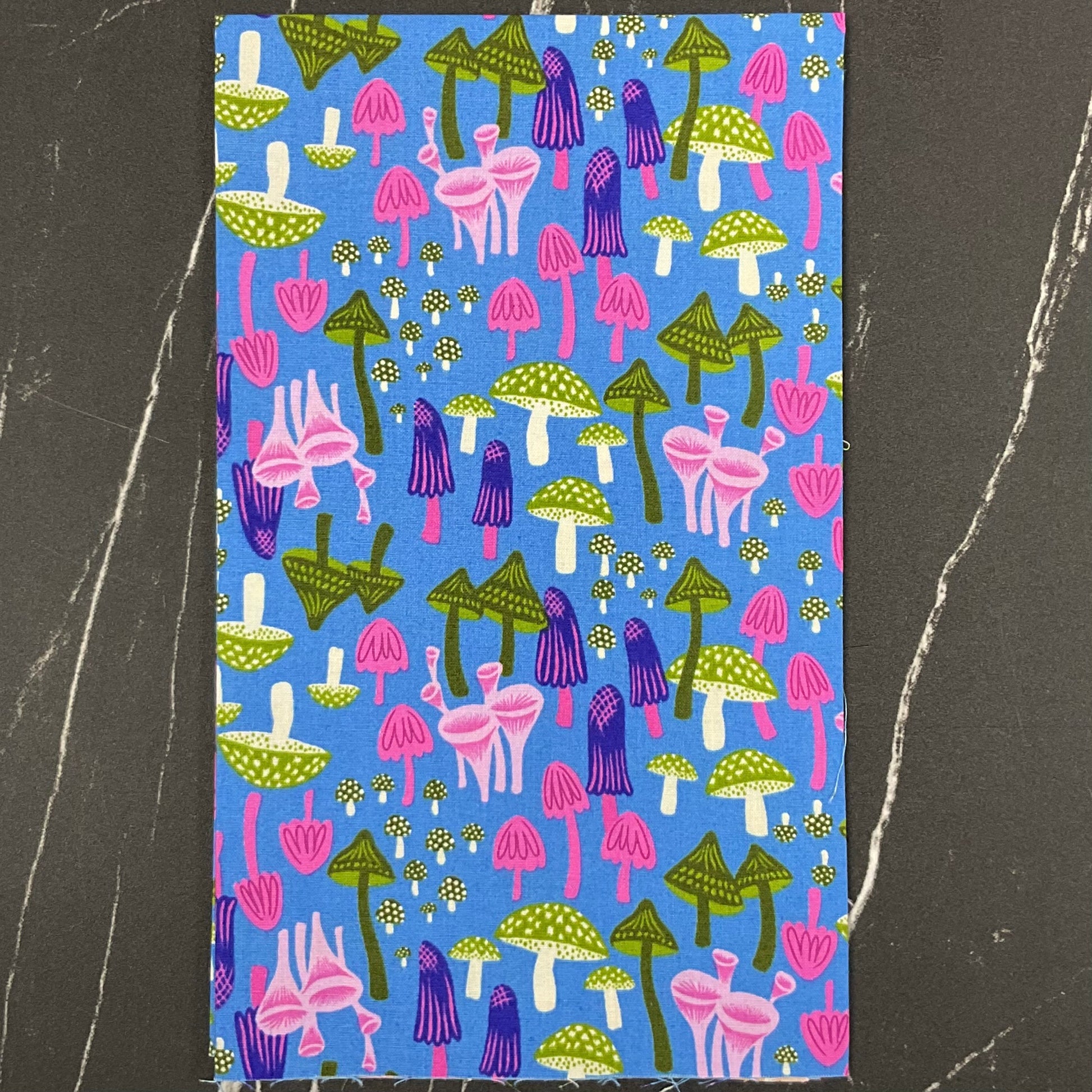 Hello Alice by Sarah Watts : Coordinating Fabric Bundles