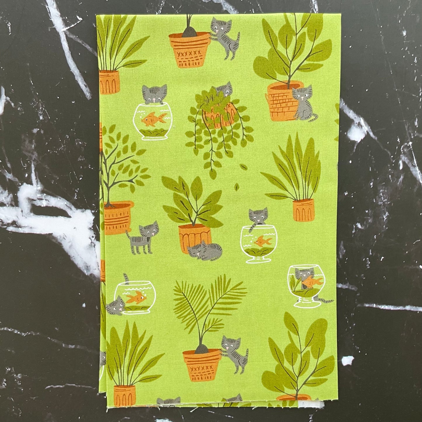 Here Kitty Kitty by Stacy Iest Hsu : Bundles