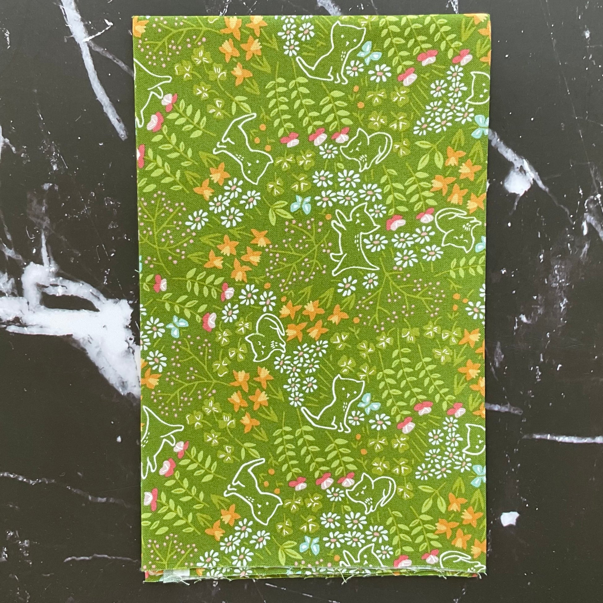 Here Kitty Kitty by Stacy Iest Hsu : Bundles