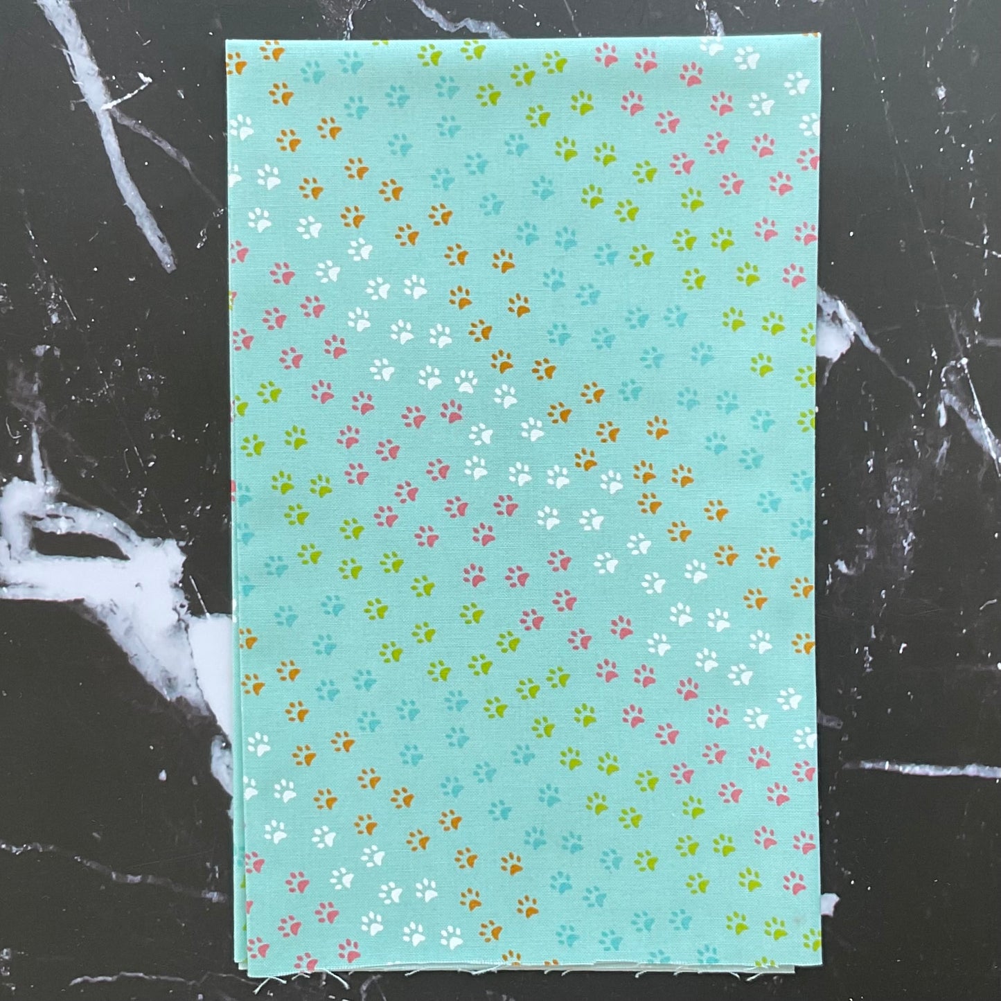 Here Kitty Kitty by Stacy Iest Hsu : Bundles