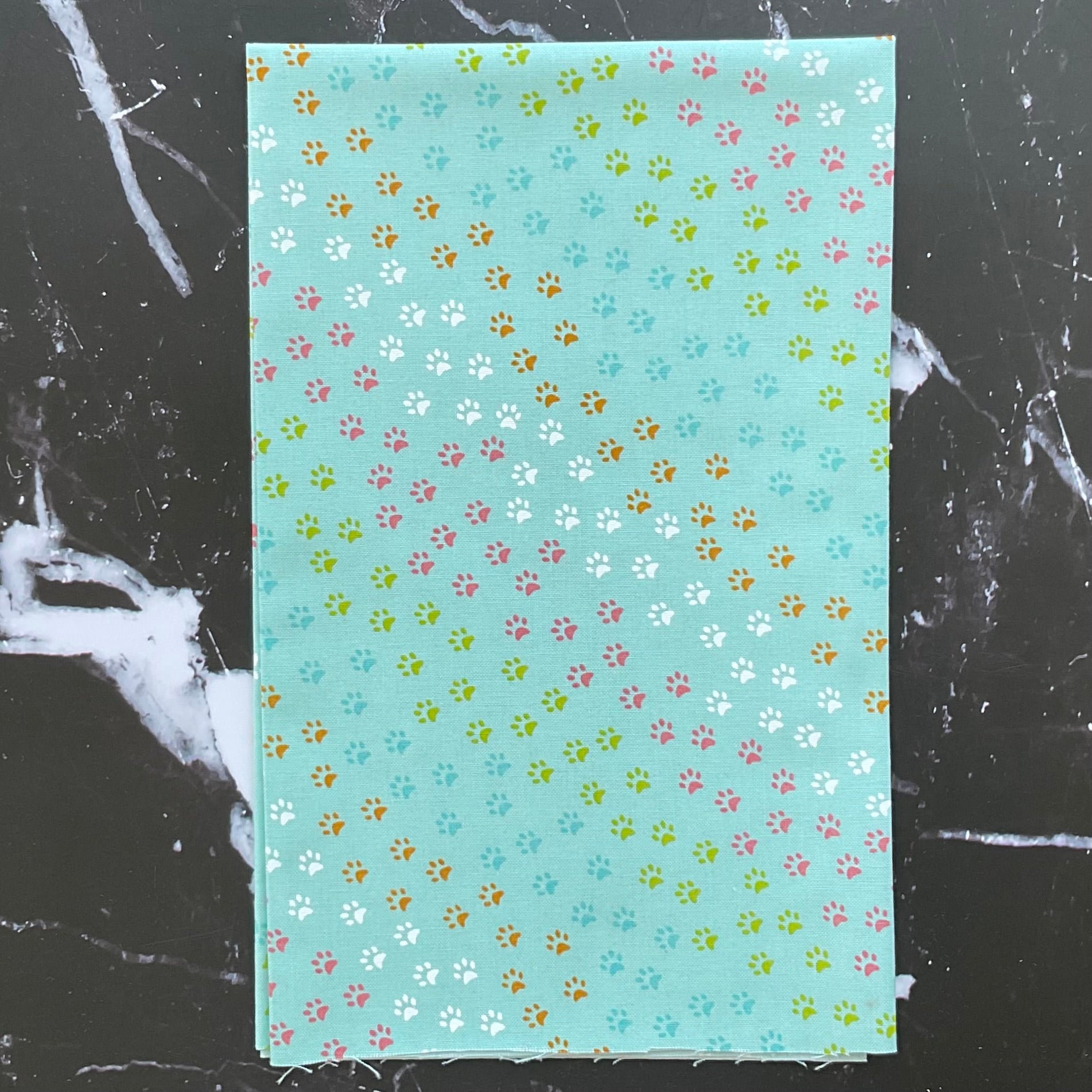 Here Kitty Kitty by Stacy Iest Hsu : Bundles