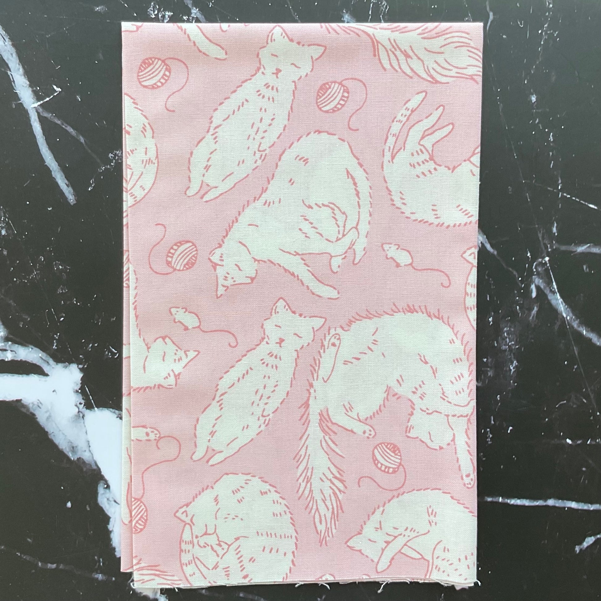 Here Kitty Kitty by Stacy Iest Hsu : Bundles