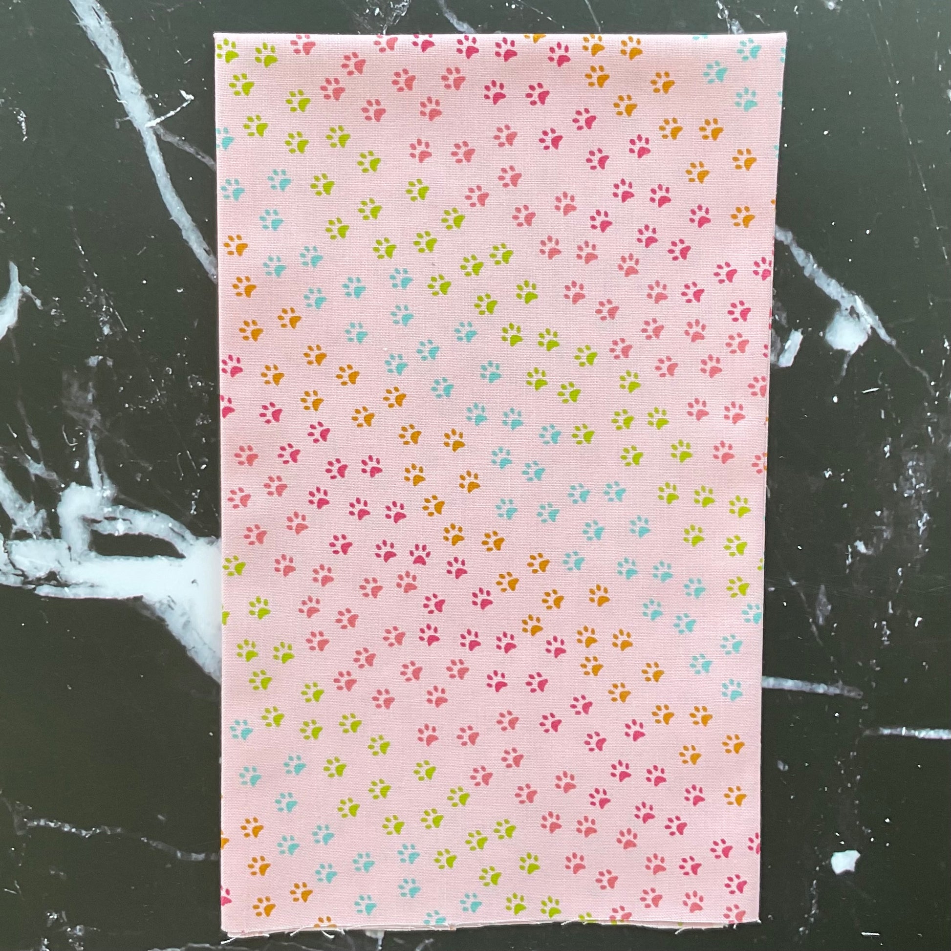 Here Kitty Kitty by Stacy Iest Hsu : Bundles