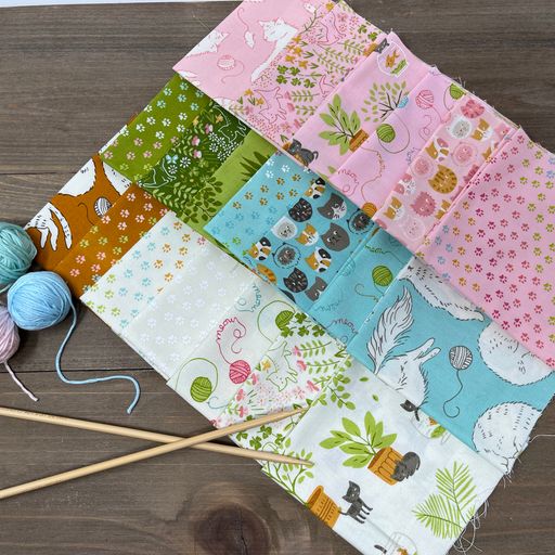 Here Kitty Kitty by Stacy Iest Hsu : Bundles