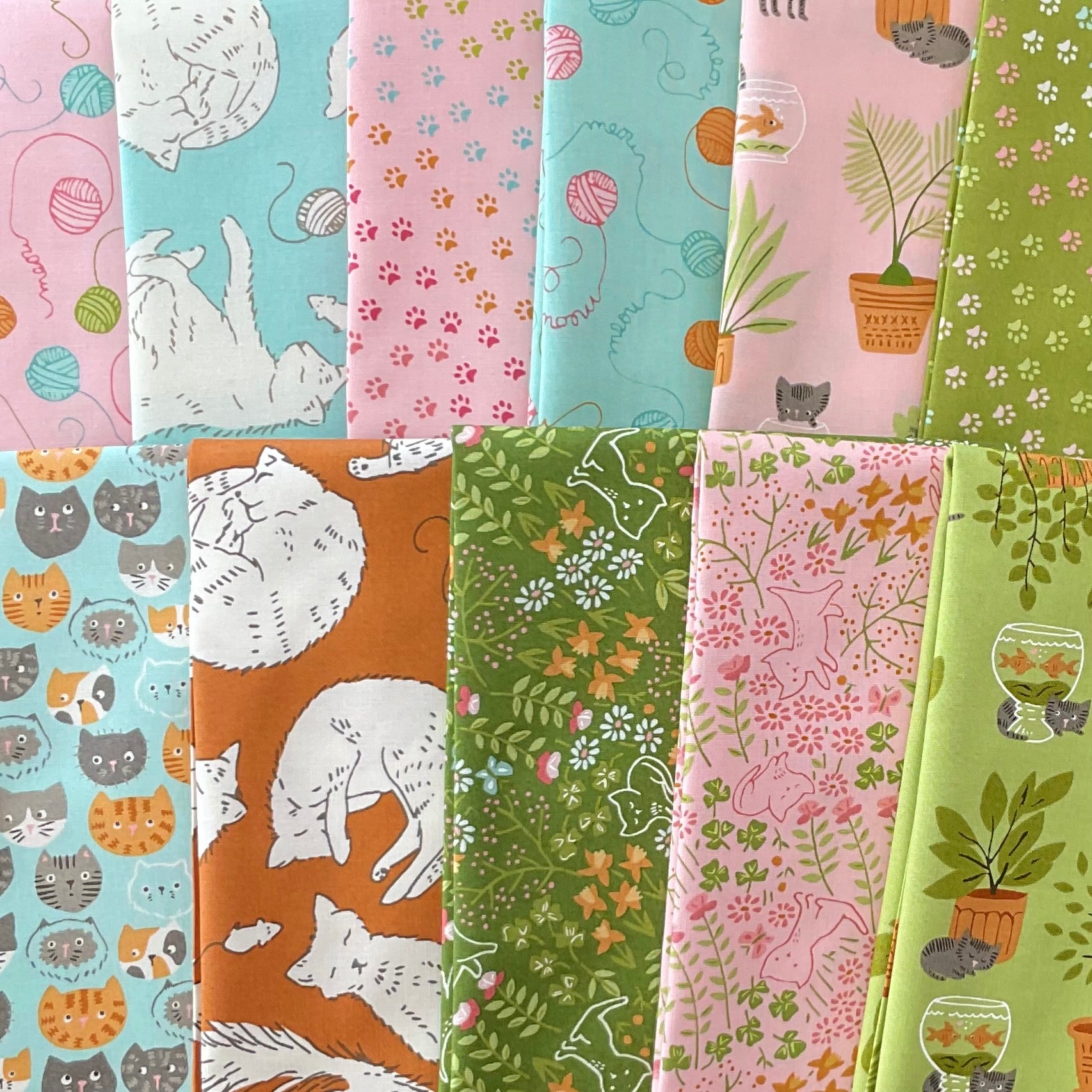 Here Kitty Kitty by Stacy Iest Hsu : Bundles