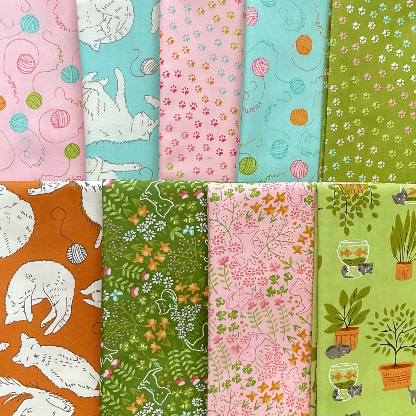 Here Kitty Kitty by Stacy Iest Hsu : Bundles