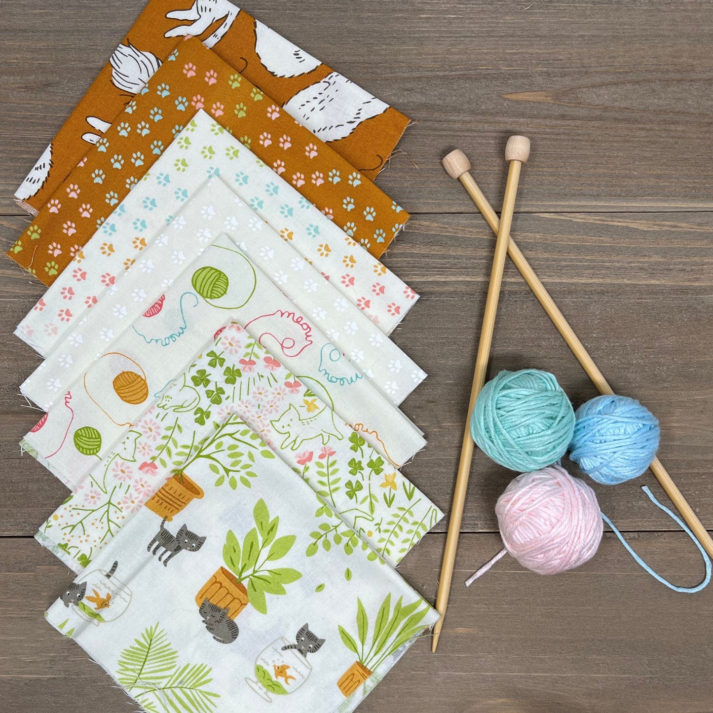 Here Kitty Kitty by Stacy Iest Hsu : Bundles