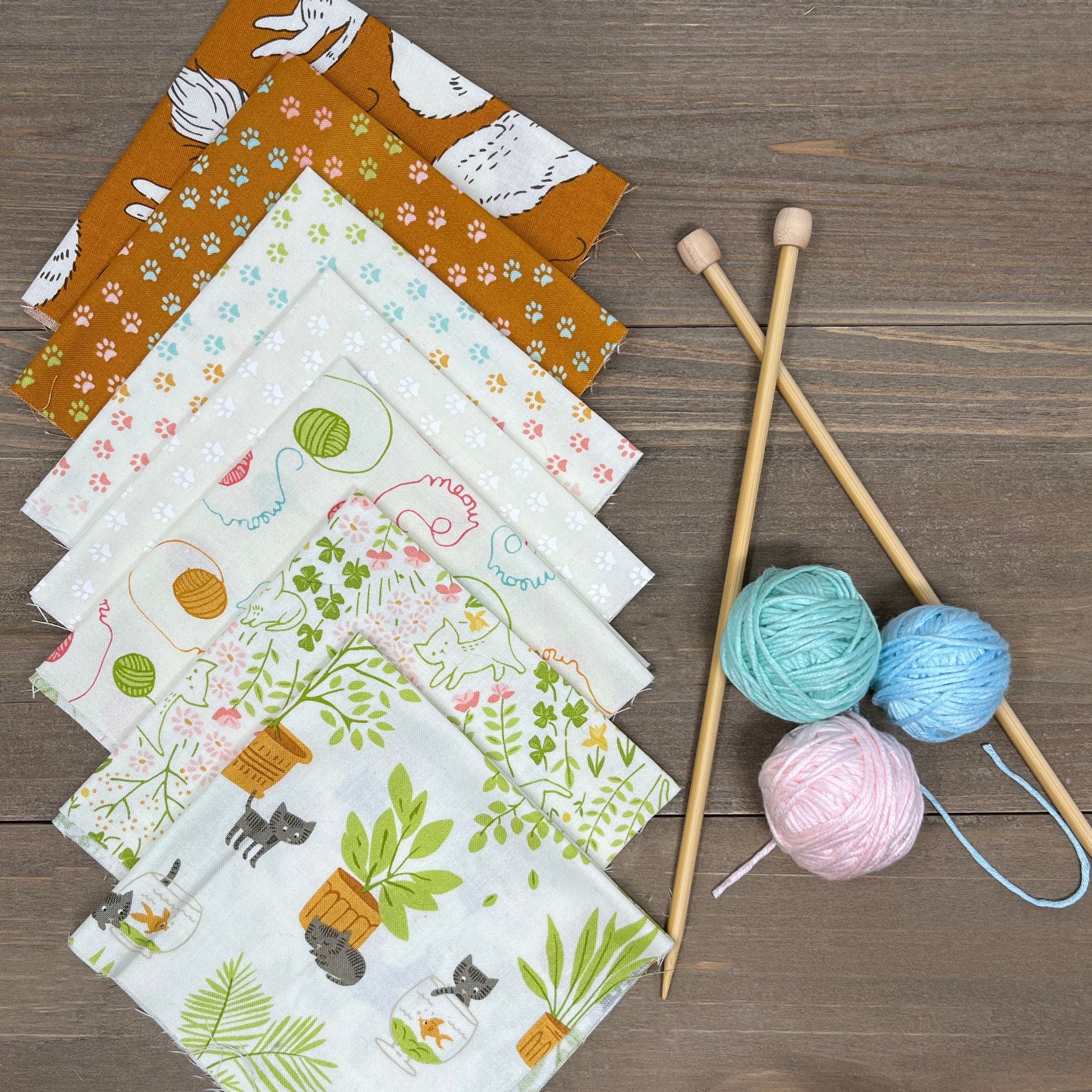 Here Kitty Kitty by Stacy Iest Hsu : Bundles