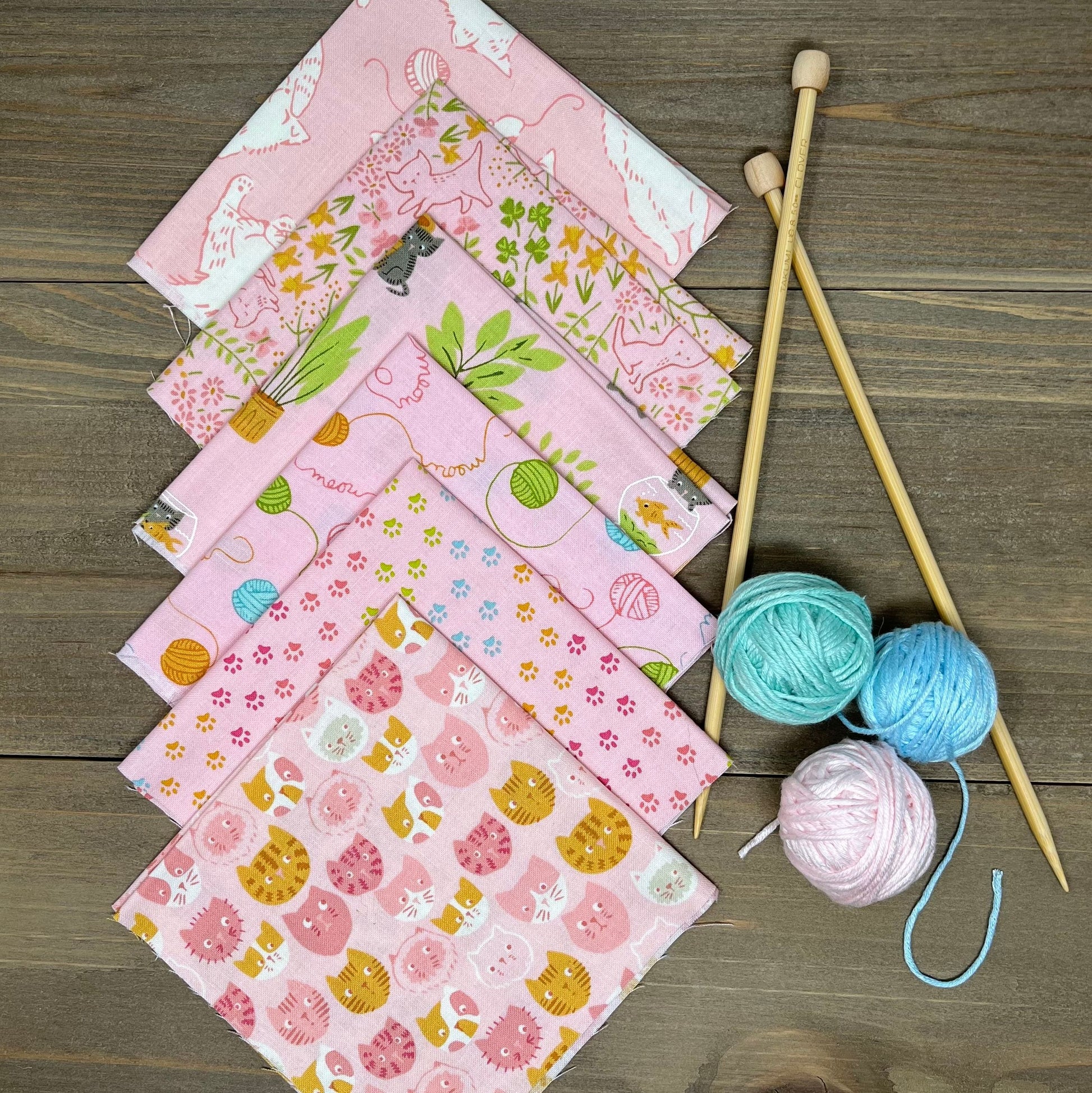 Here Kitty Kitty by Stacy Iest Hsu : Bundles