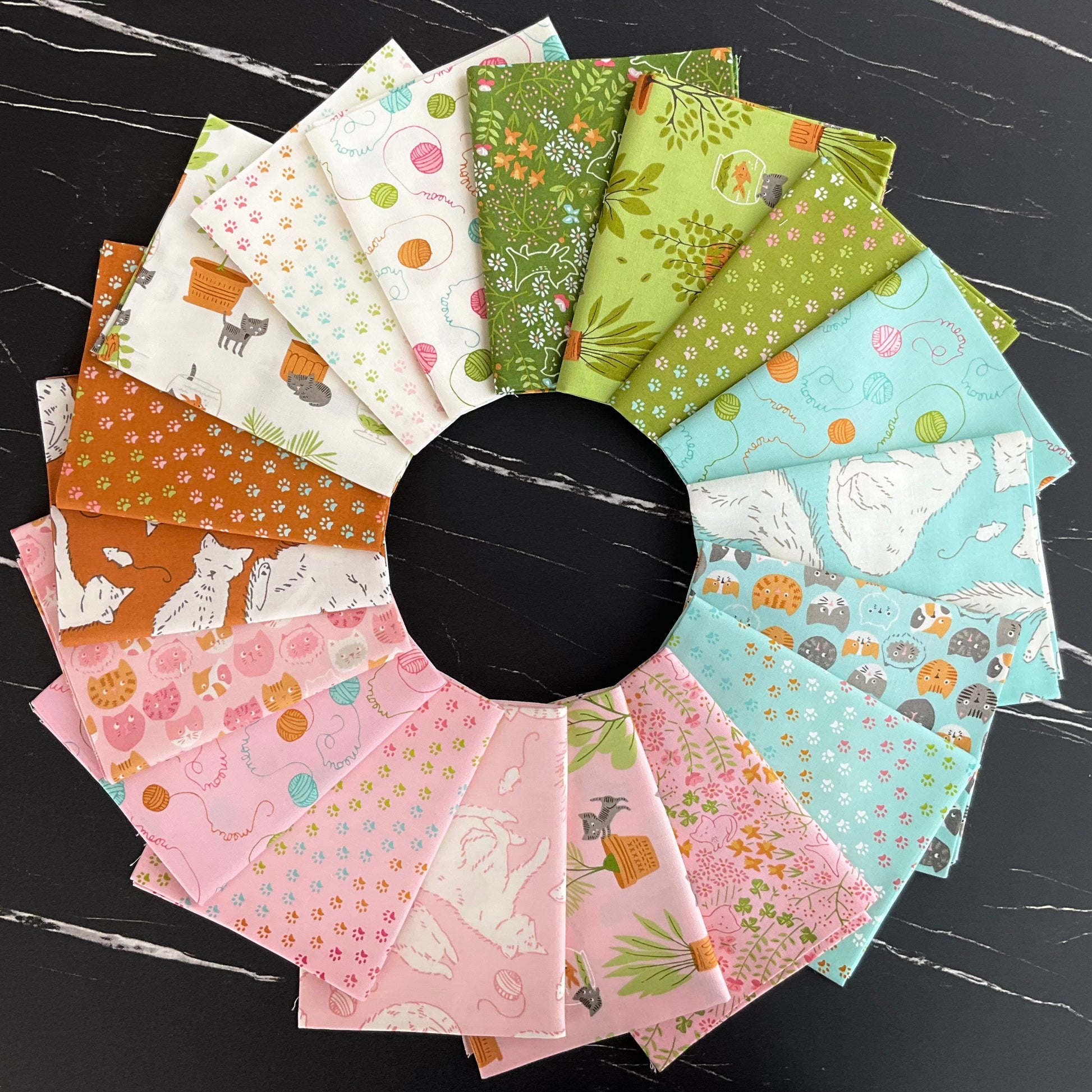 Here Kitty Kitty by Stacy Iest Hsu : Bundles